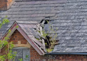 Signs Your Home Needs an Immediate Roof Replacement