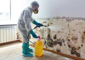 Understanding Mould Remediation: Essential Steps to Safeguard Your Home
